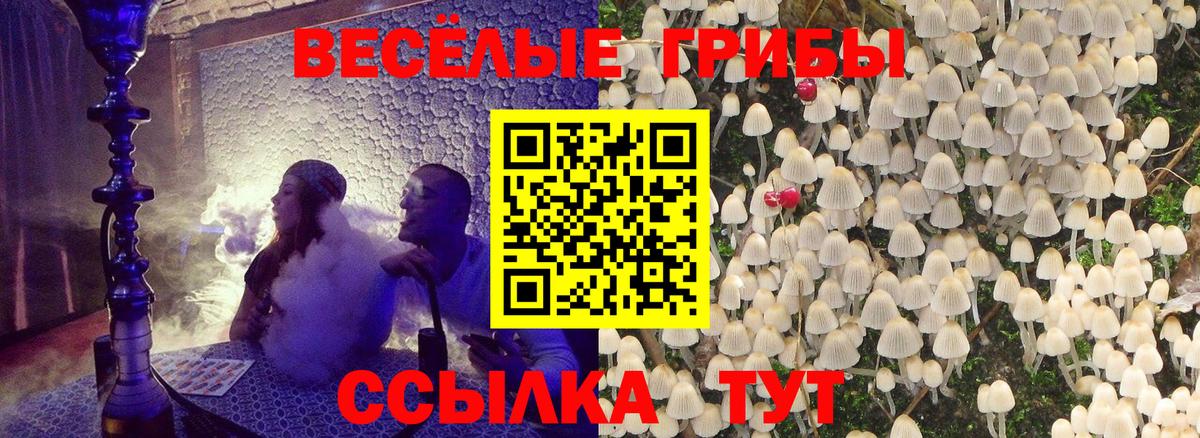 Псилоцибиновые грибы мицелий Омск